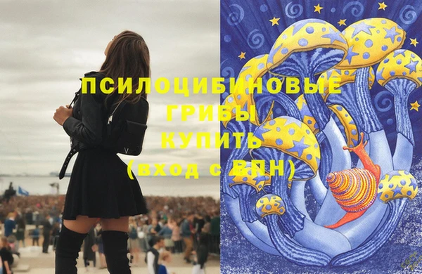 альфа пвп Кукмор